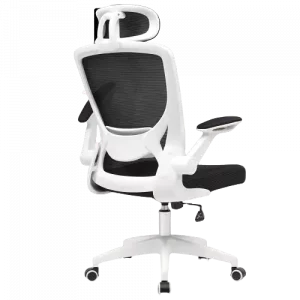 Ergonomic Office Chair